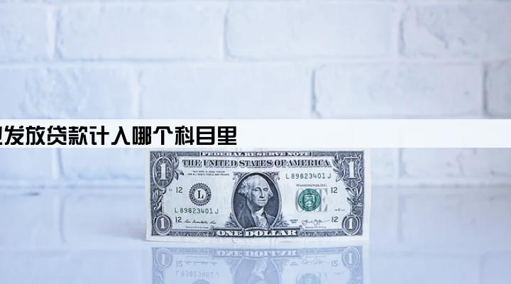 企业发放贷款计入哪个科目里