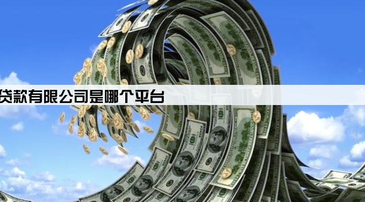 中融小额贷款有限公司是哪个平台