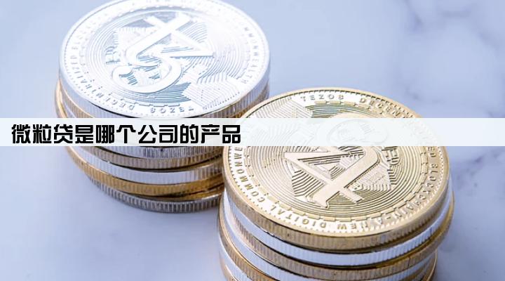 微粒贷是哪个公司的产品