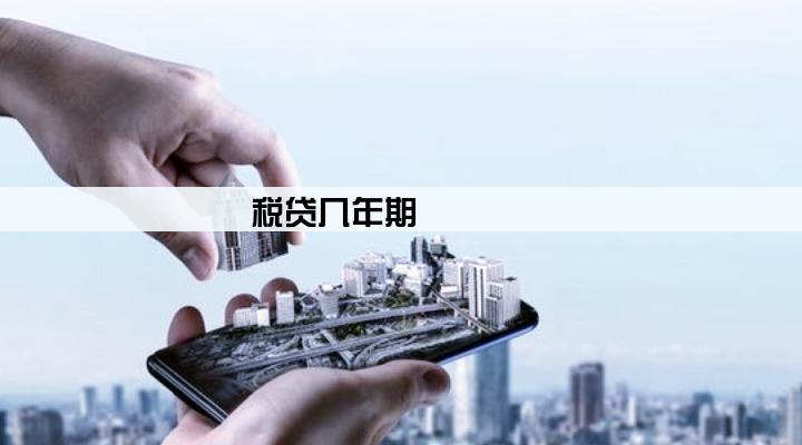 税贷几年期