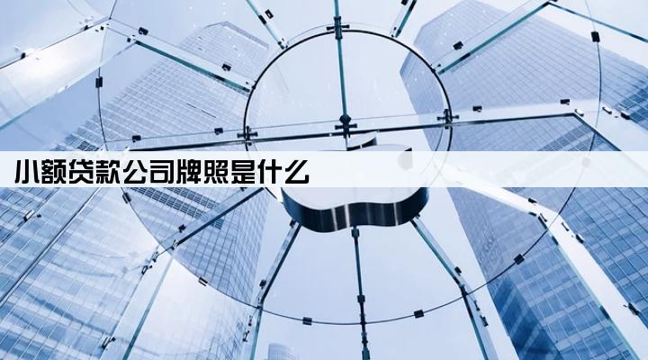 小额贷款公司牌照是什么