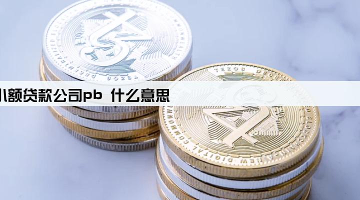 小额贷款公司pb 什么意思