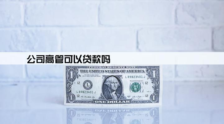 公司高管可以贷款吗