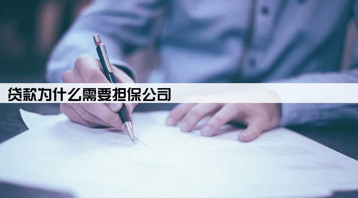 贷款为什么需要担保公司