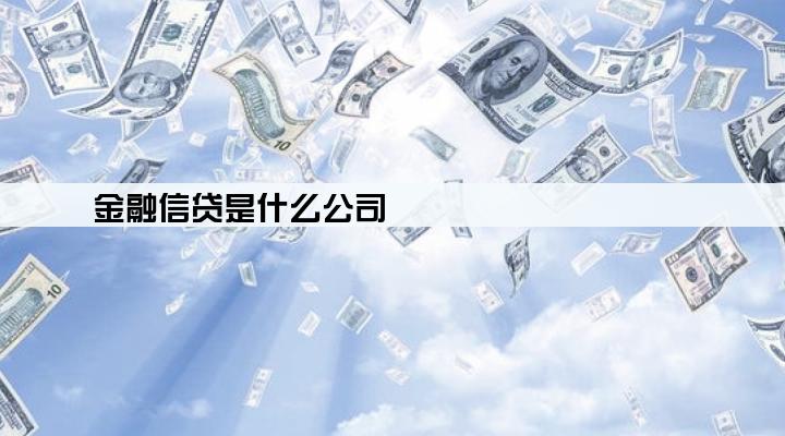 金融信贷是什么公司
