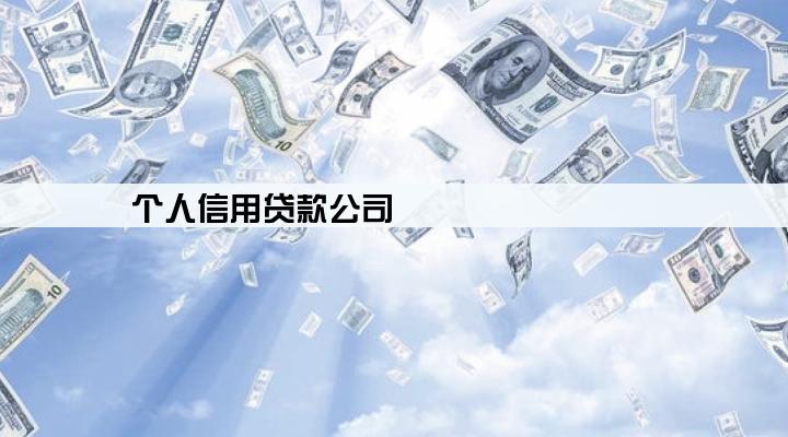 个人信用贷款公司