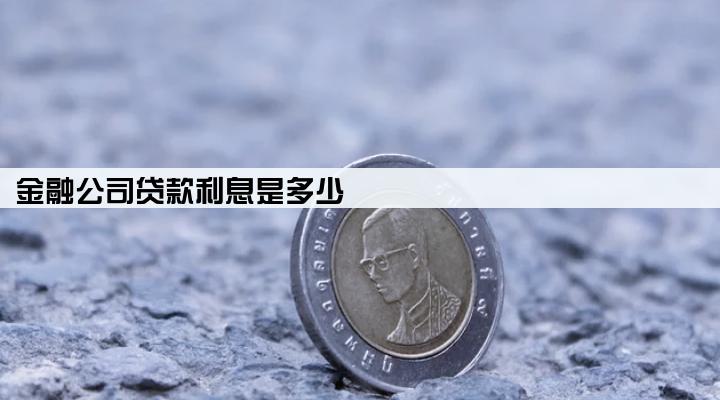 金融公司贷款利息是多少