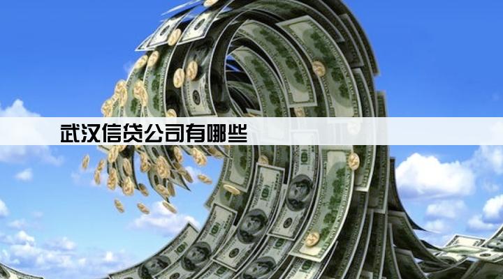 武汉信贷公司有哪些