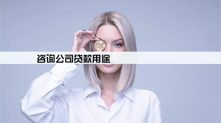 咨询公司贷款用途