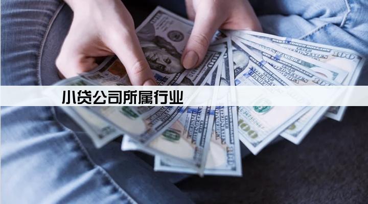 小贷公司所属行业