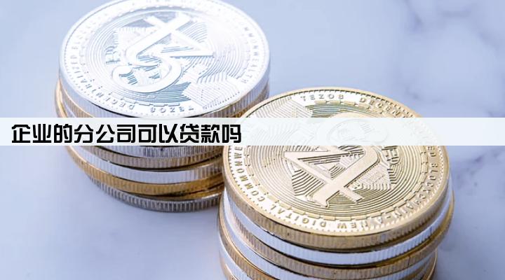 企业的分公司可以贷款吗