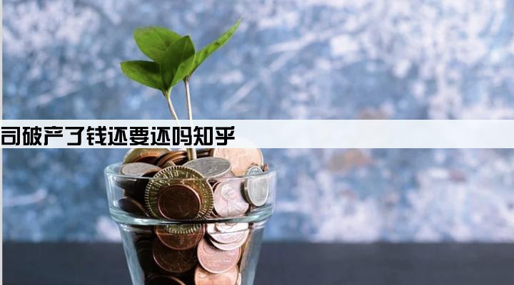 网贷公司破产了钱还要还吗知乎