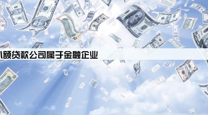 小额贷款公司属于金融企业