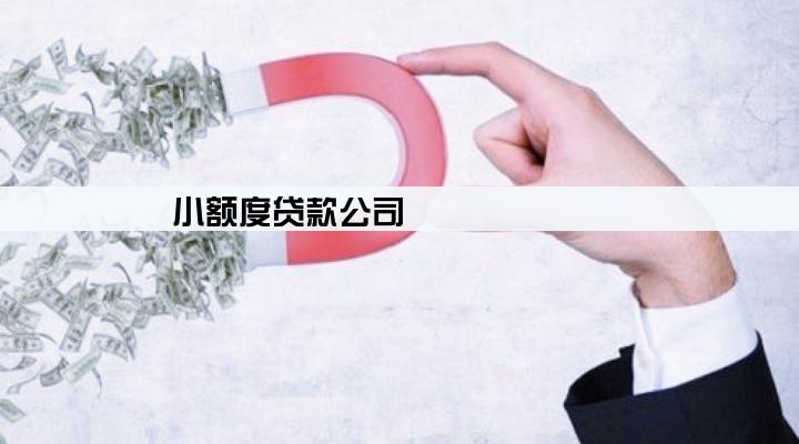 小额度贷款公司