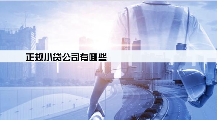 正规小贷公司有哪些