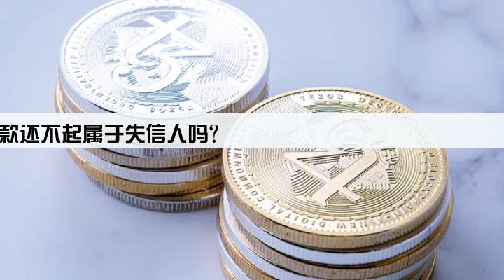 股东担保公司贷款还不起属于失信人吗?