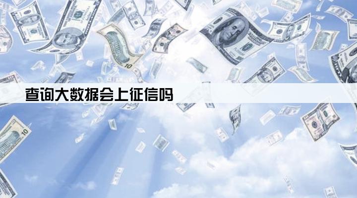 查询大数据会上征信吗