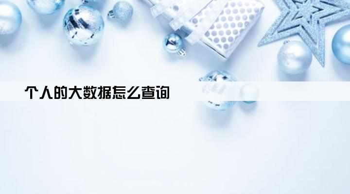 个人的大数据怎么查询
