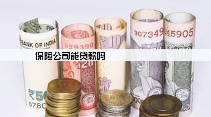 保险公司能贷款吗