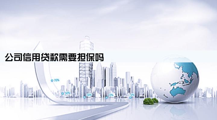 公司信用贷款需要担保吗