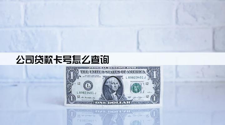 公司贷款卡号怎么查询