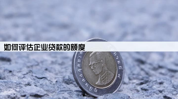 如何评估企业贷款的额度