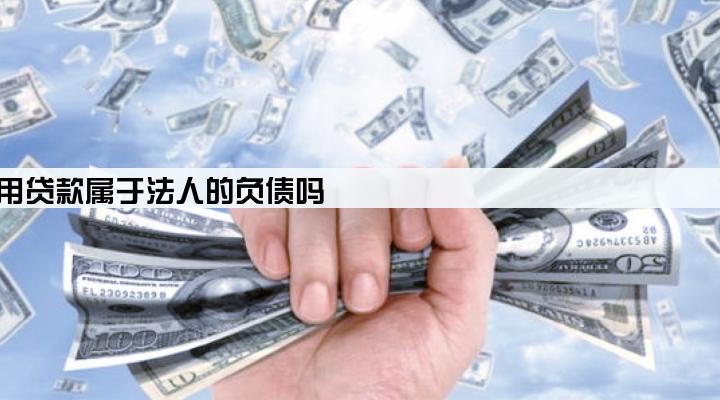 公司的信用贷款属于法人的负债吗