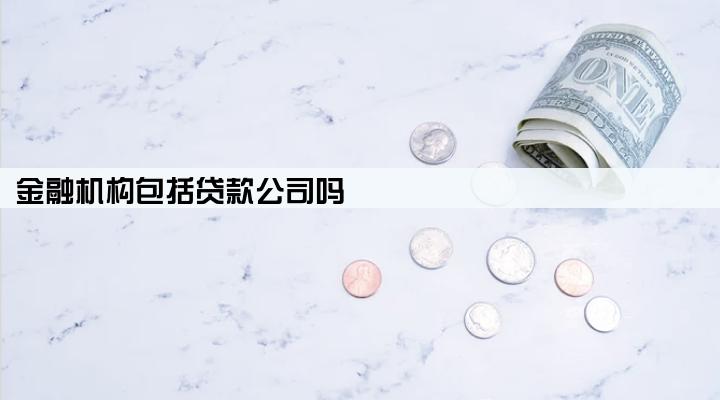 金融机构包括贷款公司吗