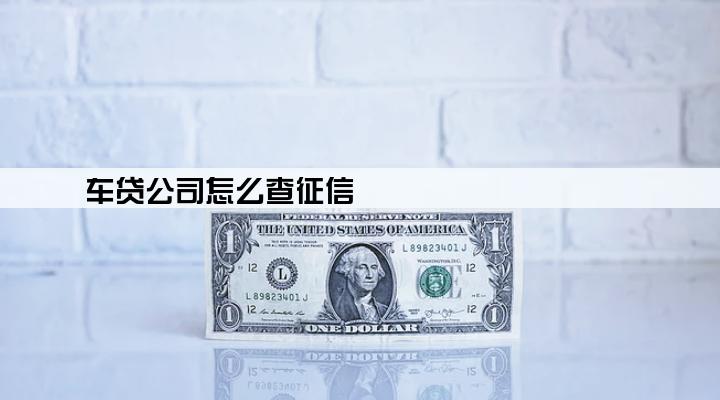 车贷公司怎么查征信