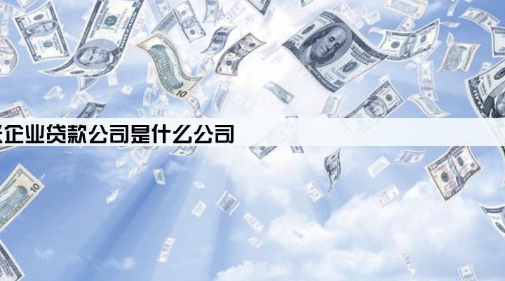 搜米企业贷款公司是什么公司