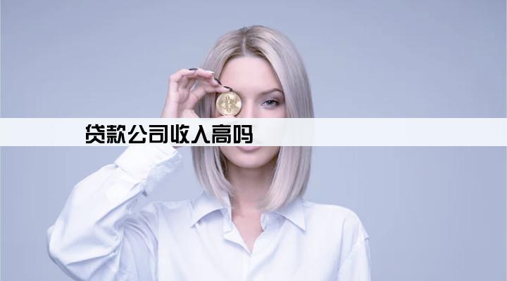 贷款公司收入高吗