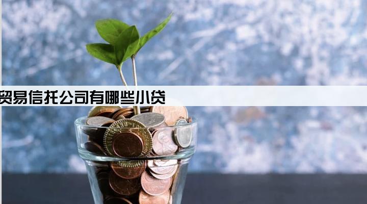 中国对外贸易信托公司有哪些小贷