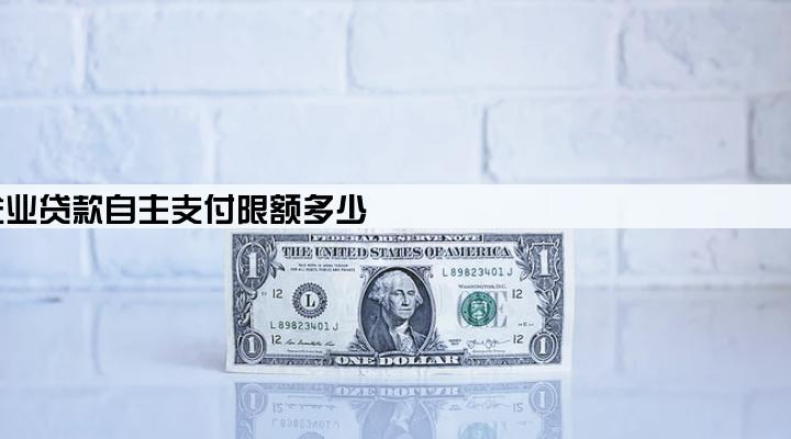 小企业贷款自主支付限额多少