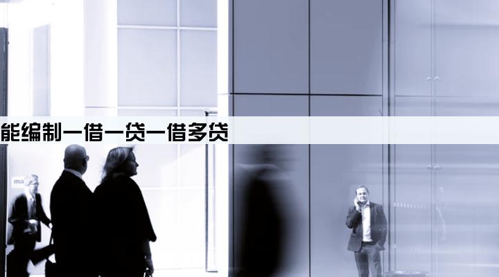 企业只能编制一借一贷一借多贷