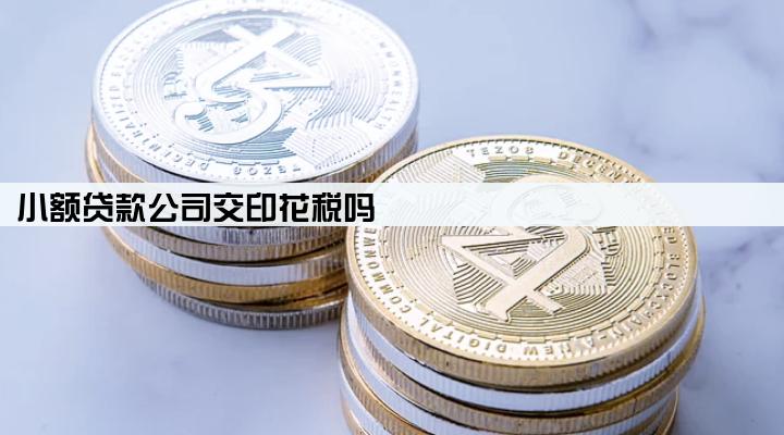 小额贷款公司交印花税吗