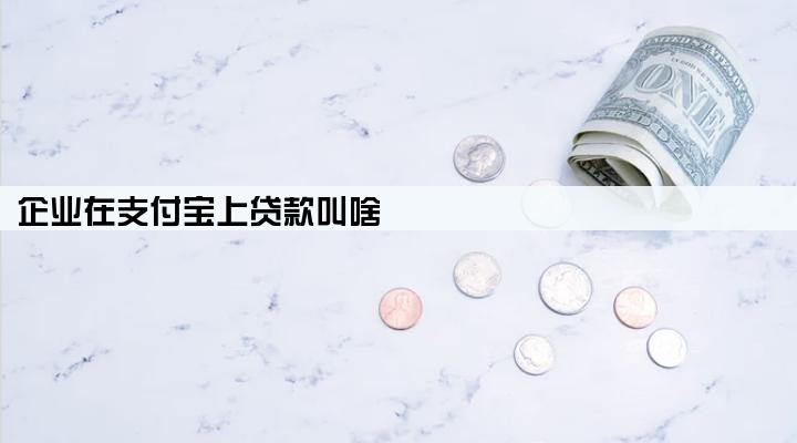企业在支付宝上贷款叫啥