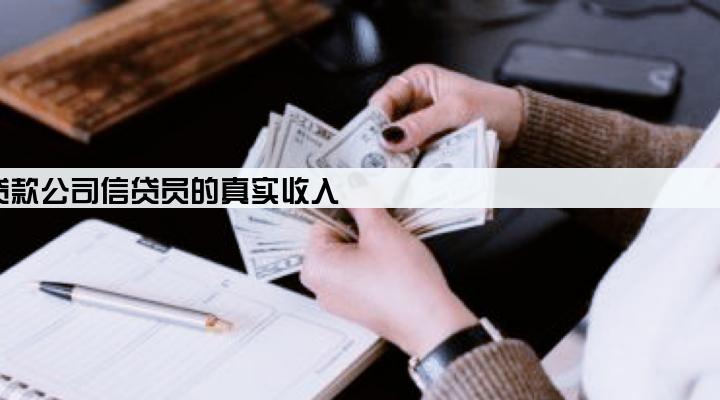 贷款公司信贷员的真实收入