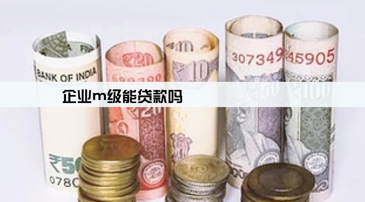 企业m级能贷款吗