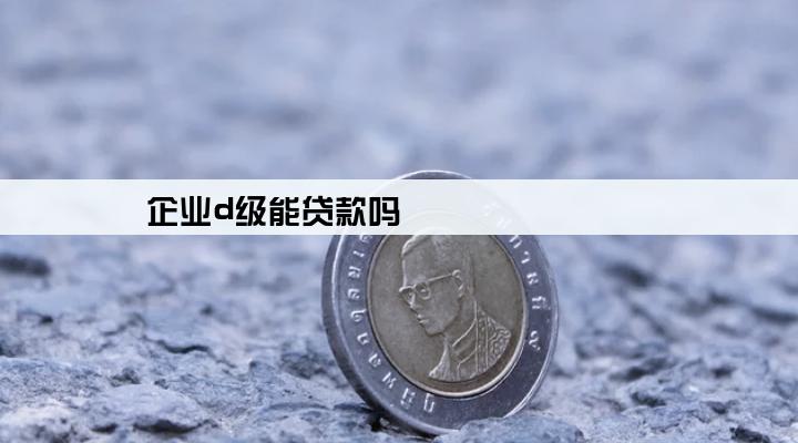 企业d级能贷款吗