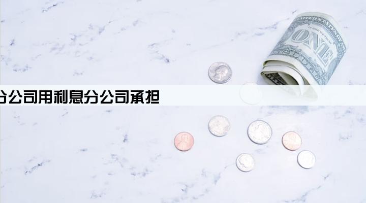 总公司贷款给分公司用利息分公司承担