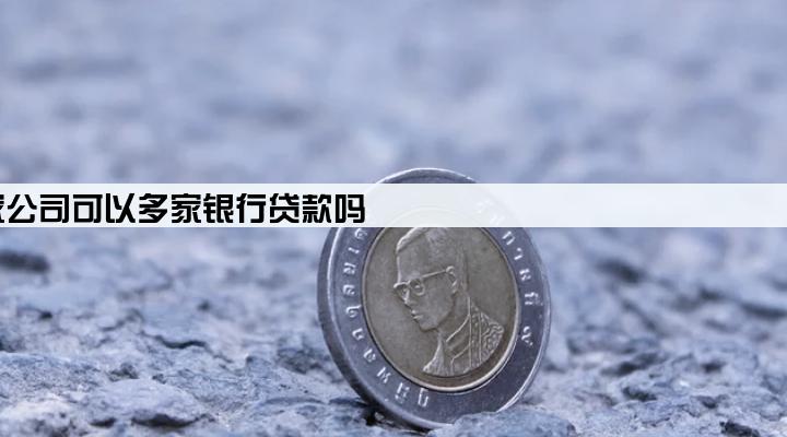 一家公司可以多家银行贷款吗