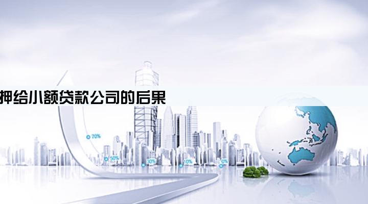 把房子抵押给小额贷款公司的后果