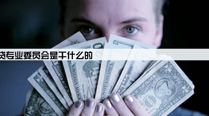 中小企业助贷专业委员会是干什么的