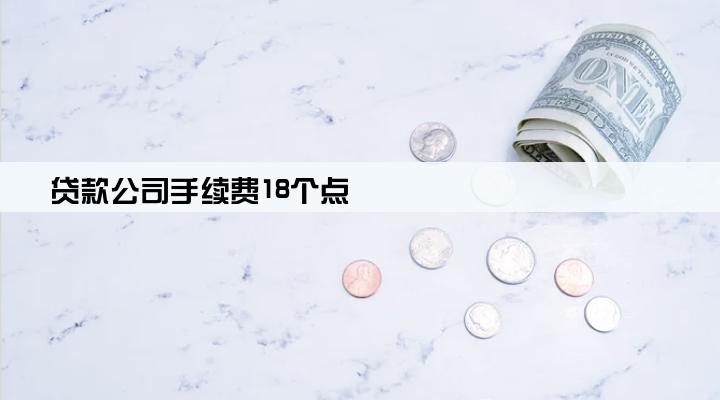 贷款公司手续费18个点