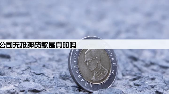 小额贷款公司无抵押贷款是真的吗