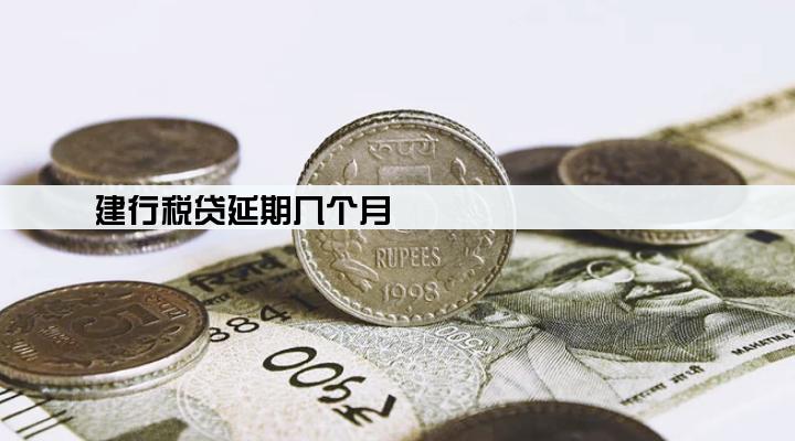 建行税贷延期几个月