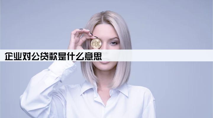 企业对公贷款是什么意思
