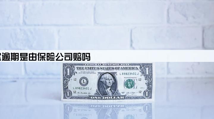 保险公司承保的贷款逾期是由保险公司赔吗
