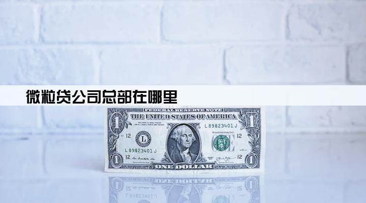 微粒贷公司总部在哪里