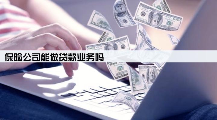 保险公司能做贷款业务吗